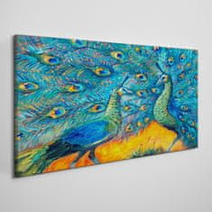 COLORAY.SK Obraz canvas Zvieratá vtáky Peacock 120x60 cm