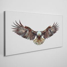 COLORAY.SK Obraz Canvas Zvieracie vták Eagle 120x60 cm