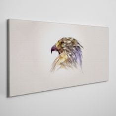 COLORAY.SK Obraz Canvas Zvieracie vták Eagle 120x60 cm