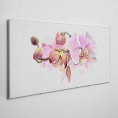 COLORAY.SK Obraz Canvas Akvarel orchidea kvetina 140x70 cm