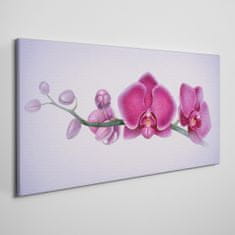 COLORAY.SK Obraz Canvas Akvarel kvetina vetva orchidea 120x60 cm