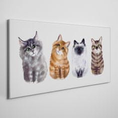 COLORAY.SK Obraz Canvas Maľovanie zvierat mačky 140x70 cm