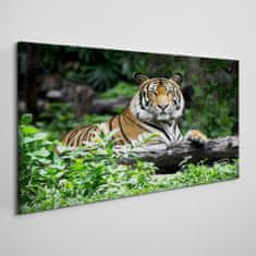 COLORAY.SK Obraz canvas Lesné zvieracie mačka tiger 100x50 cm