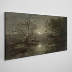 COLORAY.SK Obraz canvas Mesiac strom prírodné rieka 100x50 cm