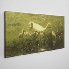 COLORAY.SK Obraz canvas Zvieratá kačica tráva príroda 100x50 cm