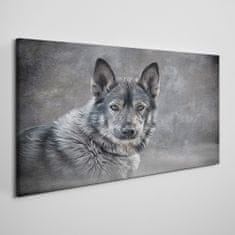 COLORAY.SK Obraz canvas Zimné sneh zvieracie vlka pes 140x70 cm
