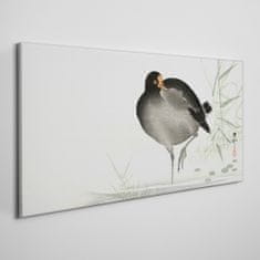COLORAY.SK Obraz Canvas Zvieracie vták voda 140x70 cm