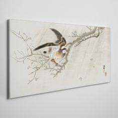 COLORAY.SK Obraz Canvas Pobočky zvierat vtákov 120x60 cm
