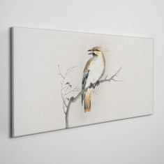 COLORAY.SK Obraz Canvas Pobočky zvierat vtákov 140x70 cm