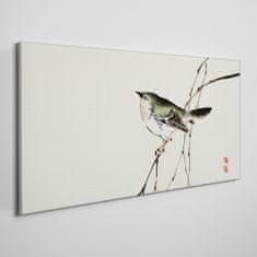 COLORAY.SK Obraz Canvas Pobočky živočíšneho vtáka 100x50 cm