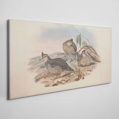 COLORAY.SK Obraz Canvas Vtáky zvieratá kreslenie 100x50 cm