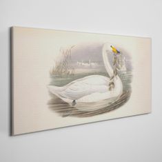 COLORAY.SK Obraz Canvas Vtáky béžová zvieratá 120x60 cm