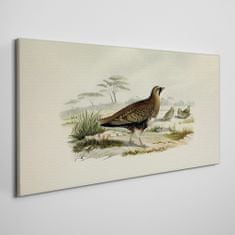 COLORAY.SK Obraz Canvas Vtáky divoké zvieratá 140x70 cm