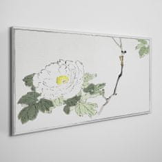 COLORAY.SK Obraz na plátne Ázijské kvety odbor 100x50 cm