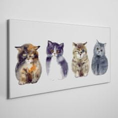 COLORAY.SK Obraz canvas Zvieratá Akvarel mačky 120x60 cm