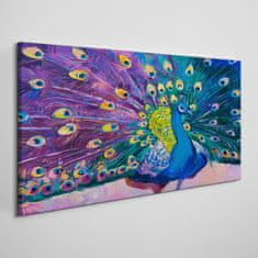 COLORAY.SK Obraz canvas Zvieracie vták páv perie 120x60 cm