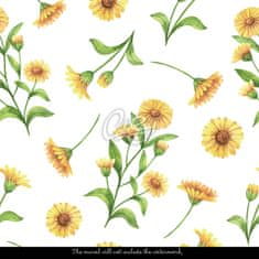 COLORAY.SK Fototapeta Sunny floral ráno Samolepiaca fototapeta 250 x 250 cm