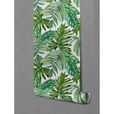 COLORAY.SK Fototapeta Monstera priamo z džungle Samolepiaca fototapeta 250 x 250 cm