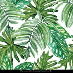 COLORAY.SK Fototapeta Monstera priamo z džungle Samolepiaca fototapeta 250 x 250 cm