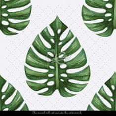 COLORAY.SK  Fototapeta Deravá monstera Fototapeta Vliesová 250 x 250 cm