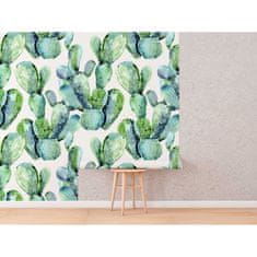 COLORAY.SK Fototapeta Cactus svet očami dieťaťa Fototapeta Vliesová 250 x 250 cm