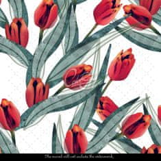 COLORAY.SK  Fototapeta Očarujúce tulipány Fototapeta Vliesová 250 x 250 cm