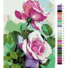 Malujsi Maľovanie podľa čísel - Dve ruže - 60x80 cm, plátno vypnuté na rám