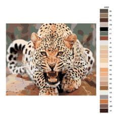 Malujsi Maľovanie podľa čísel - Nahnevaný leopard - 100x80 cm, plátno vypnuté na rám