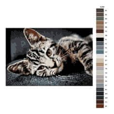 Malujsi Maľovanie podľa čísel - Maurská mačka - 120x80 cm, plátno vypnuté na rám