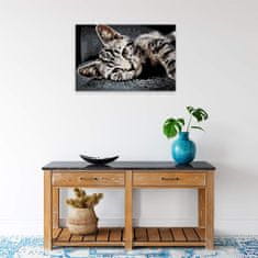 Malujsi Maľovanie podľa čísel - Maurská mačka - 120x80 cm, plátno vypnuté na rám