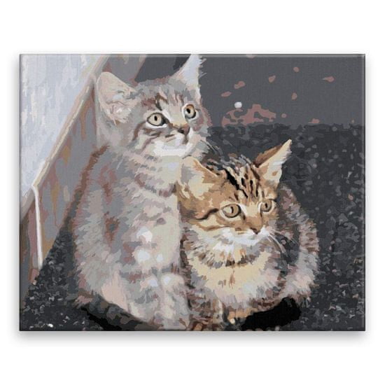 Malujsi Maľovanie podľa čísel - Roztomilé mačiatka - 50x40 cm, plátno vypnuté na rám