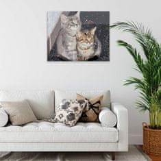 Malujsi Maľovanie podľa čísel - Roztomilé mačiatka - 100x80 cm, plátno vypnuté na rám
