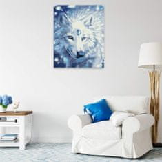 Malujsi Maľovanie podľa čísel - Čarovný vlk - 40x50 cm, plátno vypnuté na rám