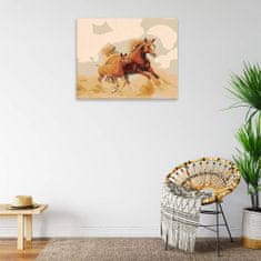 Malujsi Maľovanie podľa čísel - Kobyla a žriebä v behu - 100x80 cm, plátno vypnuté na rám