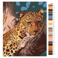 Malujsi Maľovanie podľa čísel - Gepard - 80x100 cm, plátno vypnuté na rám