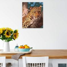 Malujsi Maľovanie podľa čísel - Gepard - 80x100 cm, plátno vypnuté na rám