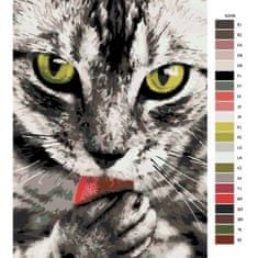 Malujsi Maľovanie podľa čísel - Čiernobiela mačka - 30x40 cm, bez dreveného rámu
