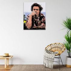 Malujsi Maľovanie podľa čísel - Harry Styles 04 - 80x100 cm, plátno vypnuté na rám