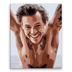 Malujsi Maľovanie podľa čísel - Harry Styles 01 - 80x100 cm, plátno vypnuté na rám