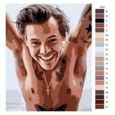 Malujsi Maľovanie podľa čísel - Harry Styles 01 - 80x100 cm, plátno vypnuté na rám