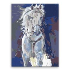 Malujsi Maľovanie podľa čísel - Jazda na bielom koni - 60x80 cm, plátno vypnuté na rám