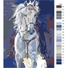 Malujsi Maľovanie podľa čísel - Jazda na bielom koni - 60x80 cm, plátno vypnuté na rám