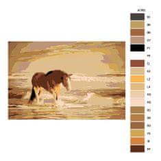 Malujsi Maľovanie podľa čísel - Žrebec na pláži - 120x80 cm, bez dreveného rámu