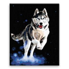 Malujsi Maľovanie podľa čísel - Spokojný husky - 80x100 cm, bez dreveného rámu