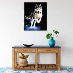 Malujsi Maľovanie podľa čísel - Spokojný husky - 80x100 cm, bez dreveného rámu