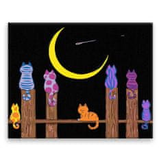 Malujsi Maľovanie podľa čísel - Mačky a padajúca hviezda - 100x80 cm, plátno vypnuté na rám
