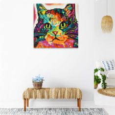 Malujsi Maľovanie podľa čísel - Farebná mačka so zelenými očami - 40x40 cm, plátno vypnuté na rám