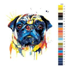 Malujsi Maľovanie podľa čísel - Smutný mopslík vo farbách - 80x80 cm, plátno vypnuté na rám