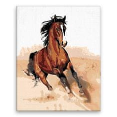 Malujsi Maľovanie podľa čísel - Kôň v pokluse - 80x100 cm, bez dreveného rámu