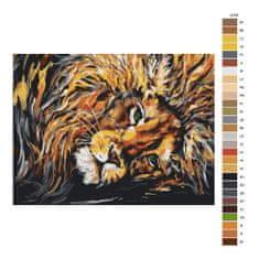 Malujsi Maľovanie podľa čísel - Pohľad z levích očí - 40x30 cm, bez dreveného rámu